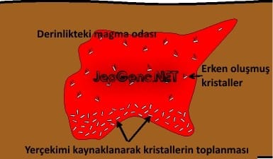 farklılaşma diferansiyasyon