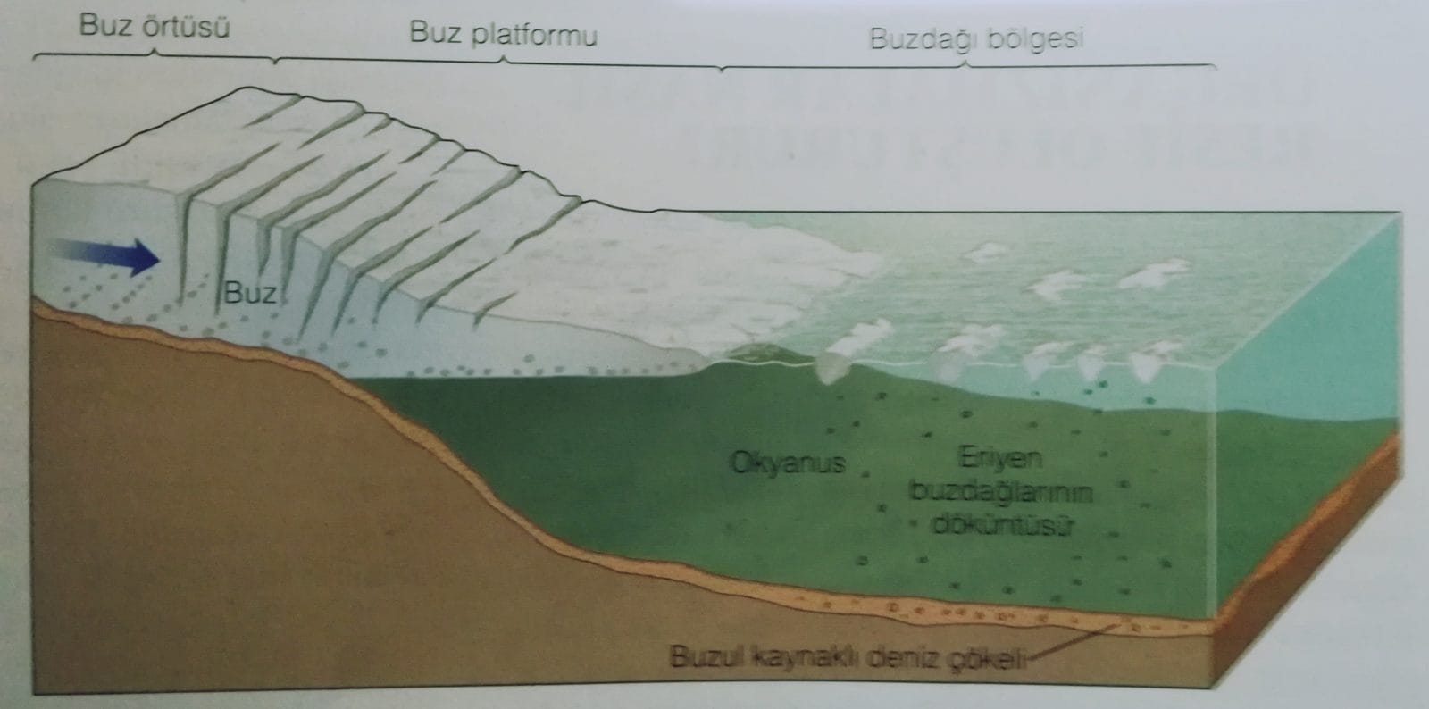 Buz kaynaklı deniz çökelleri