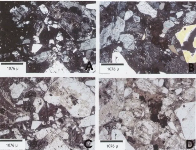 Şekil 5. Kristal ignimbiritlerin tane bileşimini gösteren mikroskop fotoğrafları. Kuvars, potasyumfeldspar ve plajioklas kırıntıları ve biyotit, az orandada amfibol kırıntıları. (A) ve (B) tek nikol, (C) ve (D) çift nikoldur